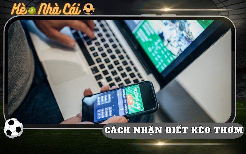 Cách Nhận Biết Kèo Thơm Từ Biến Động Odds Lụm Tiền Nhà Cái