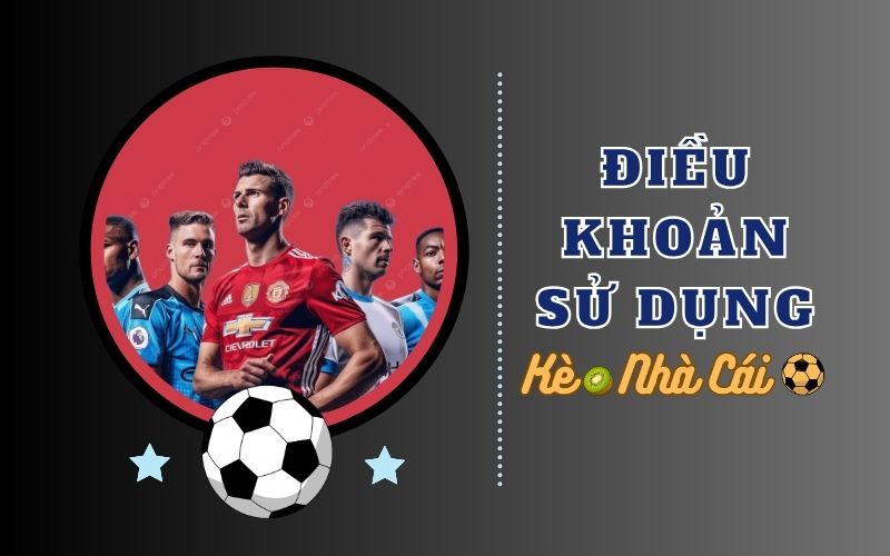 Điều khoản sử dụng 1 Phạm vi và tính chất dịch vụ