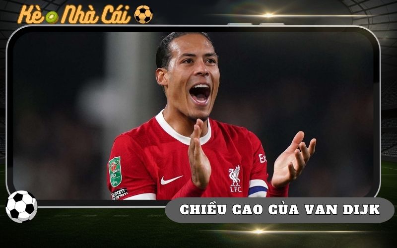 Virgil Van Dijk Cao Bao Nhieu He Lo The Hinh Khong Lo