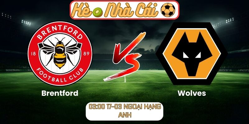 Brentford vs Wolves