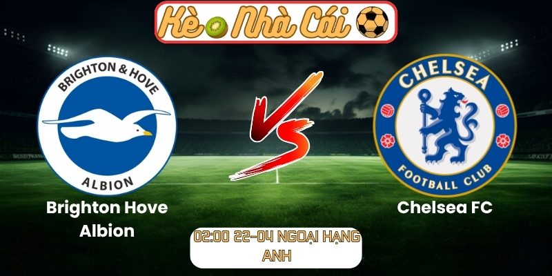 Brighton Hove Albion vs Chelsea FC